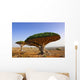 Dragon blood tree Wall Mural