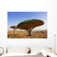 Dragon blood tree Wall Mural