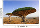Dragon blood tree Wall Mural