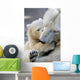 Little Polar Bear Cub Wall Mural