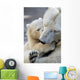 Little Polar Bear Cub Wall Mural