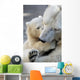 Little Polar Bear Cub Wall Mural