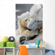Little Polar Bear Cub Wall Mural