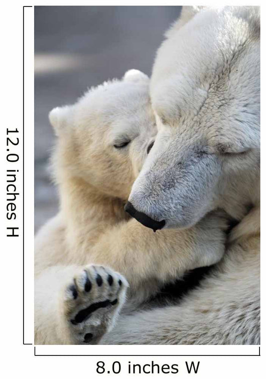 Little Polar Bear Cub Wall Mural