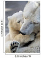 Little Polar Bear Cub Wall Mural