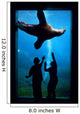 Silhouette Of Children Watching A Sea Lion Wall Mural