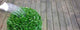Garden Wall Decal Design 4