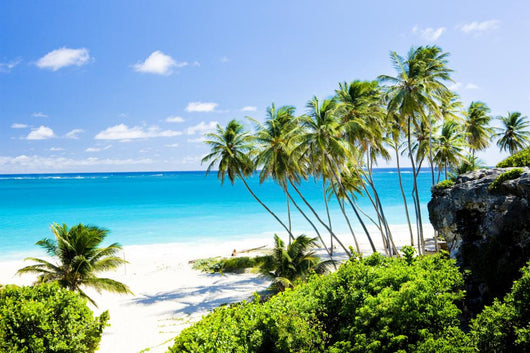 Bottom Bay Barbados Caribbean Wall Mural
