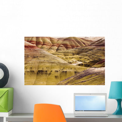 Painted Hills Wall Mural shown on a wall