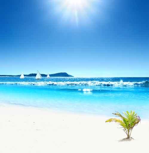 Tropical Horizons Wall Decal