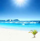 Tropical Horizons Wall Decal