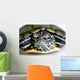 Red-eared Slider Wall Mural