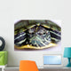 Red-eared Slider Wall Mural