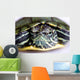 Red-eared Slider Wall Mural