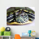 Red-eared Slider Wall Mural