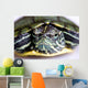 Red-eared Slider Wall Mural