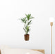 Ornamental Plants over White