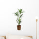 Ornamental Plants over White