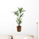 Ornamental Plants over White