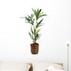 Ornamental Plants over White