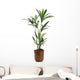 Ornamental Plants over White