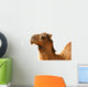 Camel Wall Decal