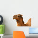 Camel Wall Decal