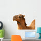 Camel Wall Decal