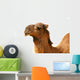 Camel Wall Decal
