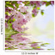 Cherry blossom tree Wall Mural