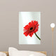 Gerbera Wall Mural