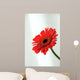 Gerbera Wall Mural