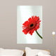 Gerbera Wall Mural