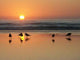 Gulls Beach Wall Decal