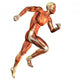 Building Muscle Man Running Wall Decal