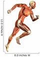Building Muscle Man Running Wall Decal