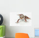 Fire-leg Walking Frog White Wall Decal