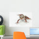 Fire-leg Walking Frog White Wall Decal
