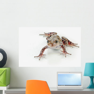 Fire-leg Walking Frog White Wall Decal shown on a wall