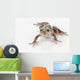 Fire-leg Walking Frog White Wall Decal