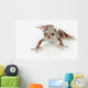 Fire-leg Walking Frog White Wall Decal