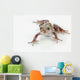 Fire-leg Walking Frog White Wall Decal