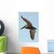 A bird in flight;Gulf shores alabama united states of america Wall Mural