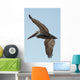 A bird in flight;Gulf shores alabama united states of america Wall Mural