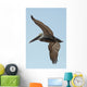 A bird in flight;Gulf shores alabama united states of america Wall Mural