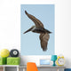 A bird in flight;Gulf shores alabama united states of america Wall Mural