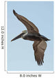 A bird in flight;Gulf shores alabama united states of america Wall Mural