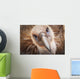 Griffon vulture ;Israel Wall Mural