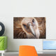Griffon vulture ;Israel Wall Mural