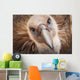 Griffon vulture ;Israel Wall Mural